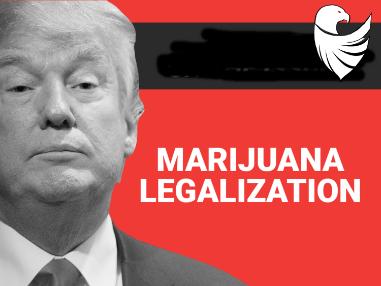 Trump for marijuana legalization